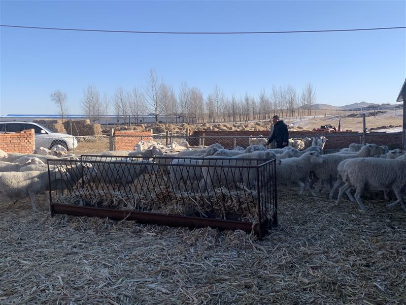 &ldquo;抱團(tuán)&rdquo;謀發(fā)展 合作社&ldquo;錢&rdquo;途無(wú)量