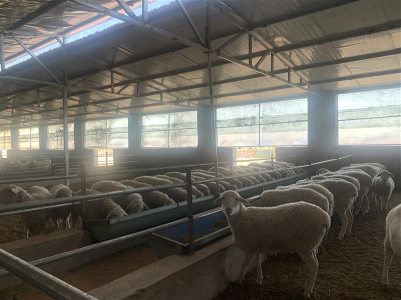 &ldquo;抱團(tuán)&rdquo;謀發(fā)展 合作社&ldquo;錢&rdquo;途無(wú)量