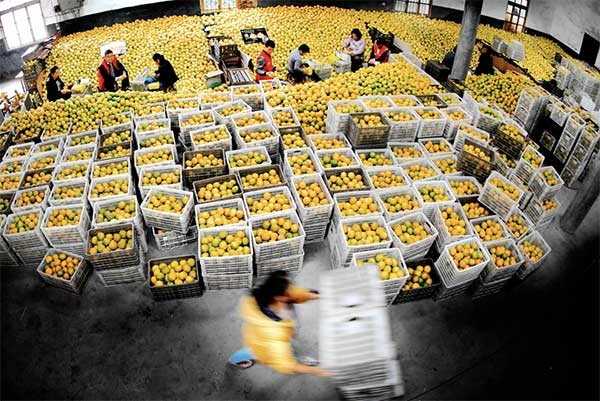 大地量子 &ldquo;數字地球PaaS平臺&rdquo; 被評為2021數字鄉村大腦十強