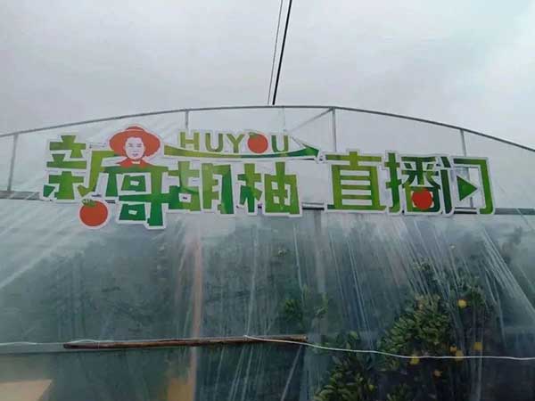 大地量子 &ldquo;數字地球PaaS平臺&rdquo; 被評為2021數字鄉村大腦十強