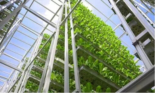 什么是垂直農(nóng)場？垂直農(nóng)場的盈利前景與經(jīng)典案例