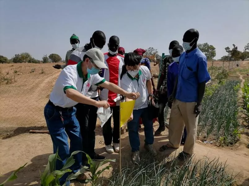 糧食產量高，生活有余裕&mdash;&mdash;中國專家在布開展水稻高產競賽和蔬菜種植培訓