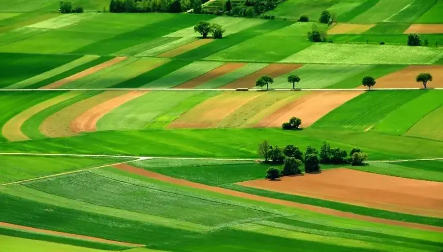 普及農(nóng)業(yè)機(jī)械化：法國(guó)成歐盟第一大農(nóng)業(yè)生產(chǎn)國(guó)之關(guān)鍵密鑰