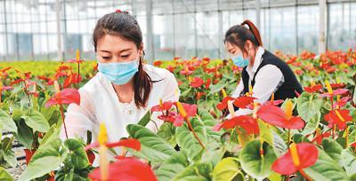 農(nóng)業(yè)農(nóng)村現(xiàn)代化按下&ldquo;快進(jìn)鍵&rdquo;