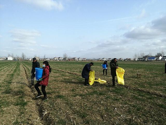 江蘇濱海:農(nóng)業(yè)生產(chǎn)正當(dāng)時(shí)虎力全開備春耕