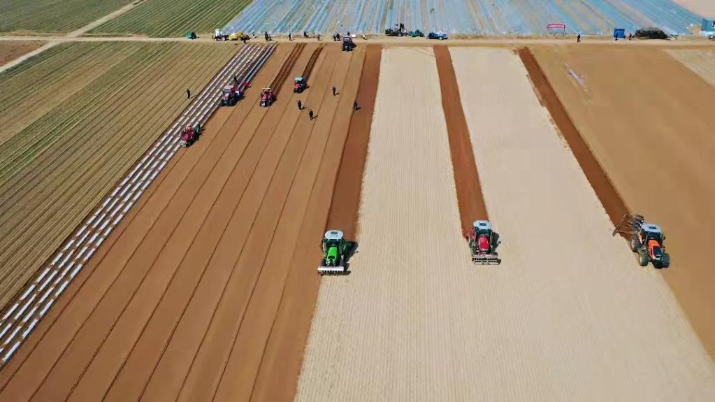 高標(biāo)準(zhǔn)農(nóng)田備春耕一線觀察：藏糧于地“高標(biāo)準(zhǔn)” 提擋升級(jí)“解愁盼”