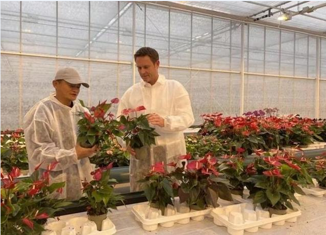 劉強(qiáng)東卸任投身鄉(xiāng)村振興，為何資本大佬都愛(ài)農(nóng)業(yè)？