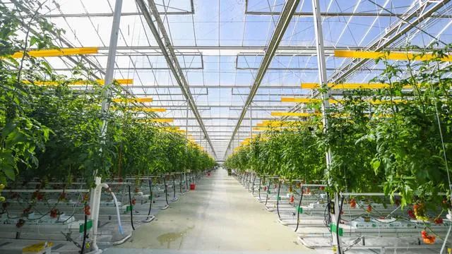 好！北京：設施農業機械化率今年將達到43.5%！