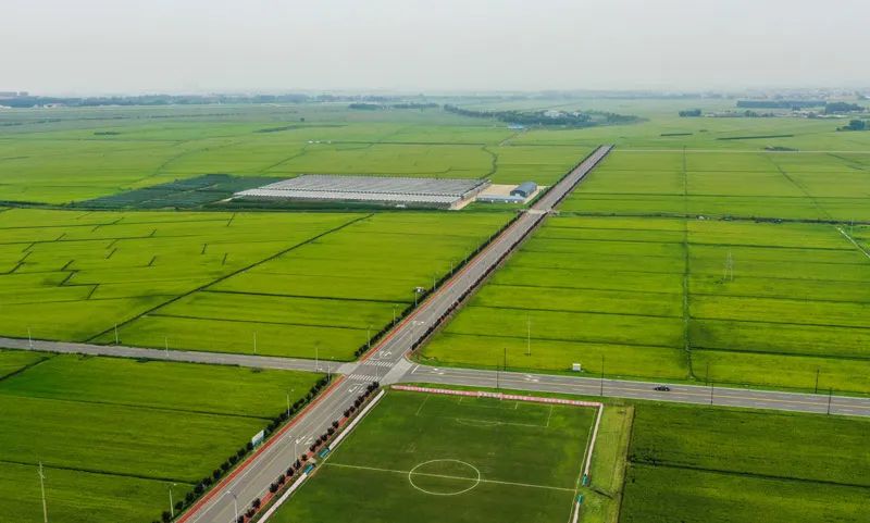 《高標(biāo)準(zhǔn)農(nóng)田建設(shè)通則》國家標(biāo)準(zhǔn)發(fā)布