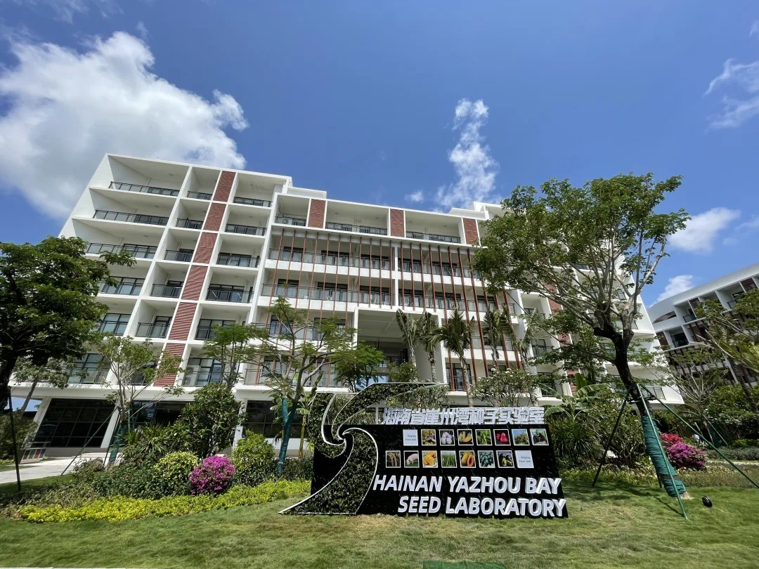 深度透視！農(nóng)業(yè)“芯片”：中國種子戰(zhàn)略