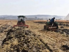 農(nóng)業(yè)農(nóng)村部：在全國(guó)建300個(gè)重點(diǎn)縣600個(gè)展示基地！