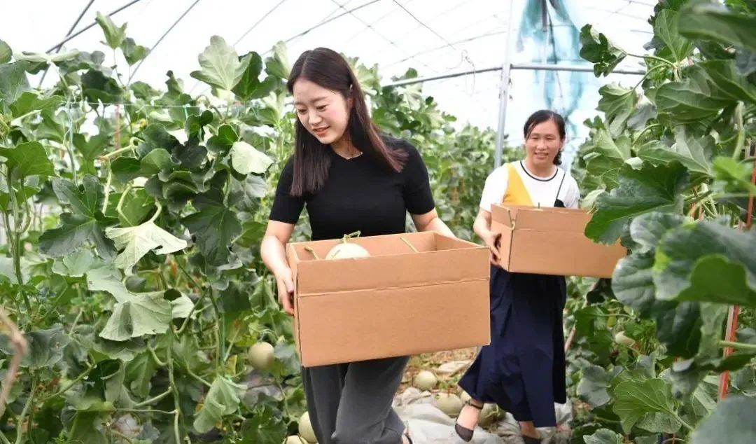 【縣域農業】縣域是未來農業品牌建設的主戰場！