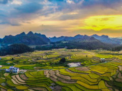 【縣域農業】縣域是未來農業品牌建設的主戰場！