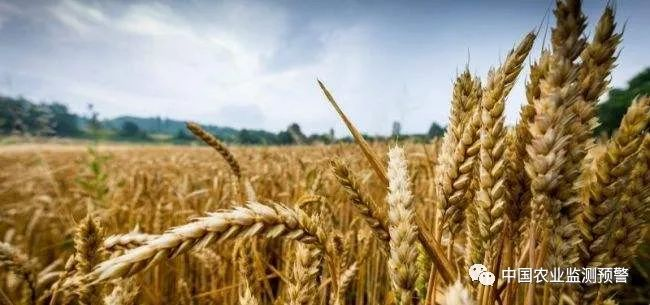 農業農村部等四部門印發緊急通知:毫不放松抓好抗高溫熱害干旱奪秋糧豐收 農業農村部等四部門印發緊急通知:毫不放松抓好抗高溫熱害干旱奪秋糧豐收