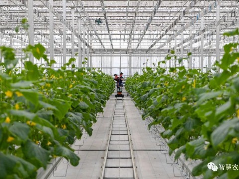 農(nóng)業(yè)部出手，智慧農(nóng)業(yè)將迎來七個(gè)方面全面突破！