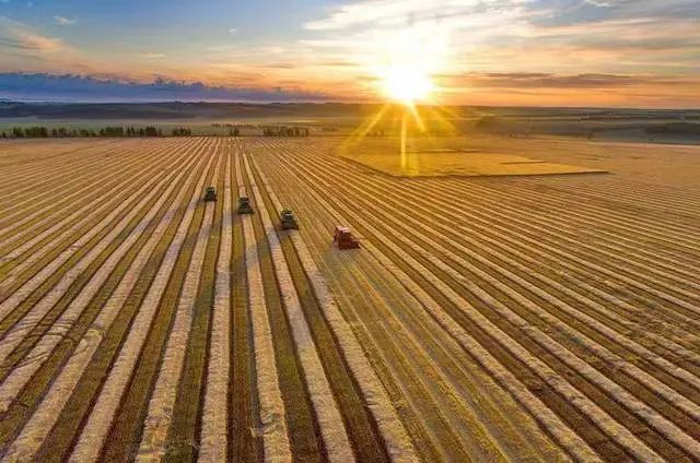 陳文勝:中國農業現代化的基本趨勢與未來任務 陳文勝:中國農業現代化的基本趨勢與未來任務