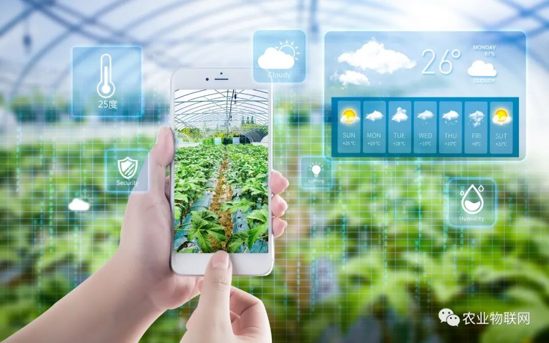 【農業(yè)模式】解析六種農業(yè)新業(yè)態(tài)