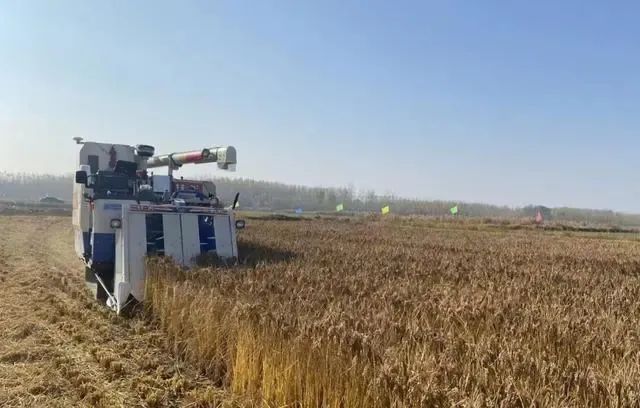 智慧農業助力農民豐收 無人駕駛農機開進農田