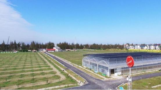 王金悅：機器人農場繪就智慧農業(yè)新圖景