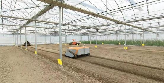 王金悅：機器人農場繪就智慧農業(yè)新圖景