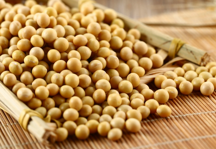 充分發(fā)揮大豆在我國(guó)食物系統(tǒng)中的獨(dú)特價(jià)值