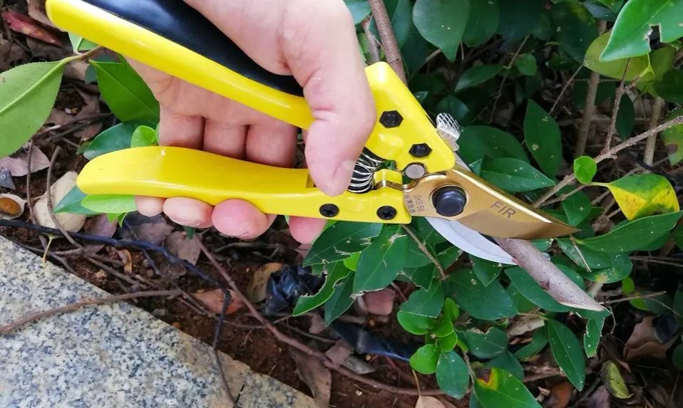 2023年中央一號文件解讀：加緊研發(fā)園藝機(jī)械應(yīng)該如何理解？