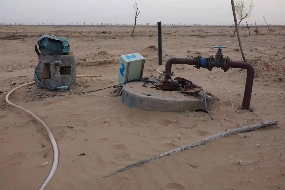 陜西榆林:6000余畝高標準農田,緣何撂荒7年? 陜西榆林:6000余畝高標準農田,緣何撂荒7年?