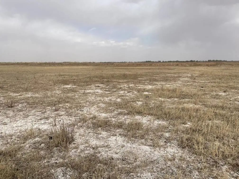 陜西榆林:6000余畝高標準農田,緣何撂荒7年? 陜西榆林:6000余畝高標準農田,緣何撂荒7年?