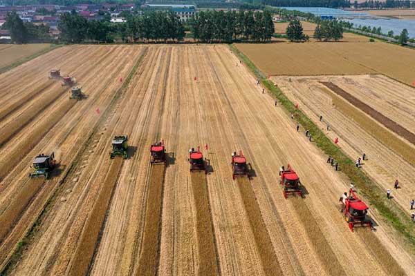 耕好“無(wú)形糧田”——從夏糧主產(chǎn)區(qū)看“全鏈條節(jié)糧減損”路徑