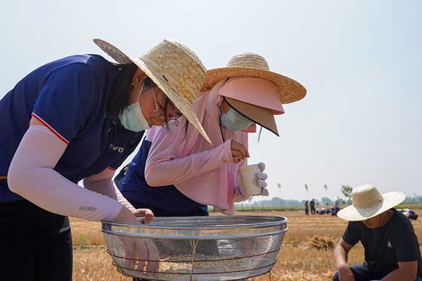 耕好“無(wú)形糧田”——從夏糧主產(chǎn)區(qū)看“全鏈條節(jié)糧減損”路徑