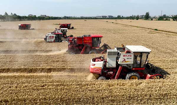 耕好“無(wú)形糧田”——從夏糧主產(chǎn)區(qū)看“全鏈條節(jié)糧減損”路徑