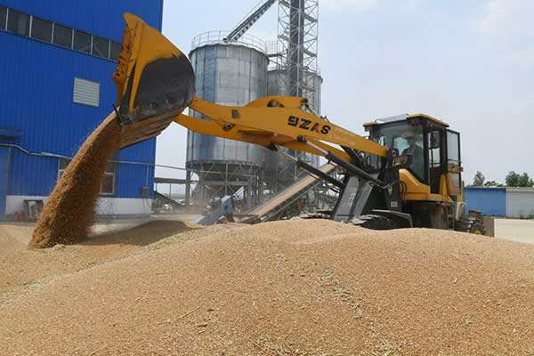 耕好“無(wú)形糧田”——從夏糧主產(chǎn)區(qū)看“全鏈條節(jié)糧減損”路徑