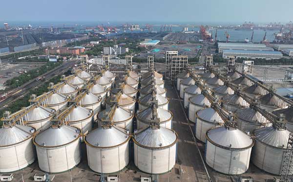 耕好“無(wú)形糧田”——從夏糧主產(chǎn)區(qū)看“全鏈條節(jié)糧減損”路徑