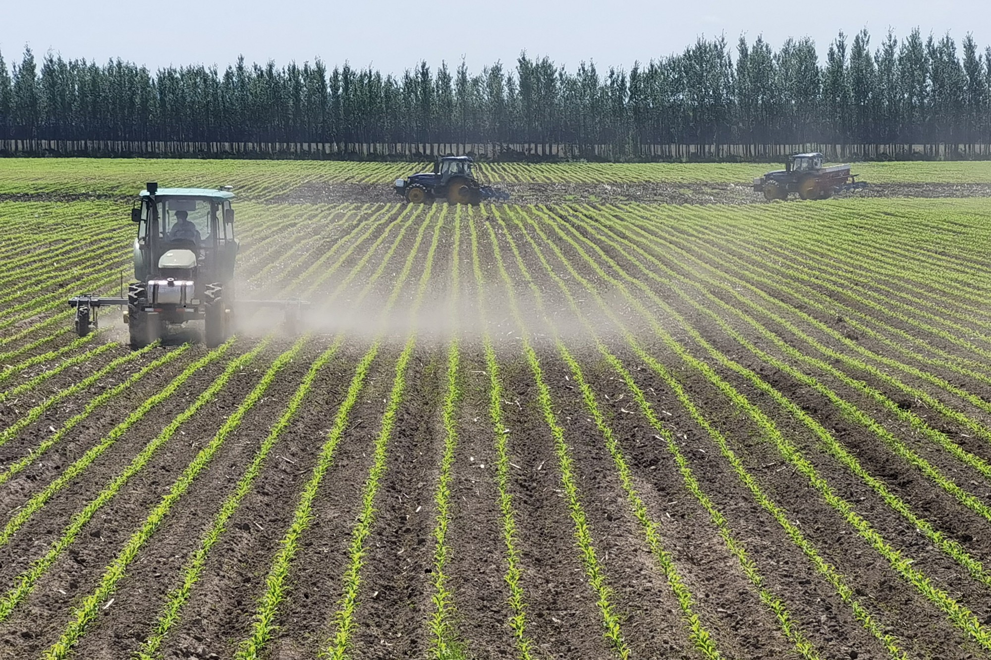 節(jié)糧減損，北大荒踏實(shí)做好第一步
