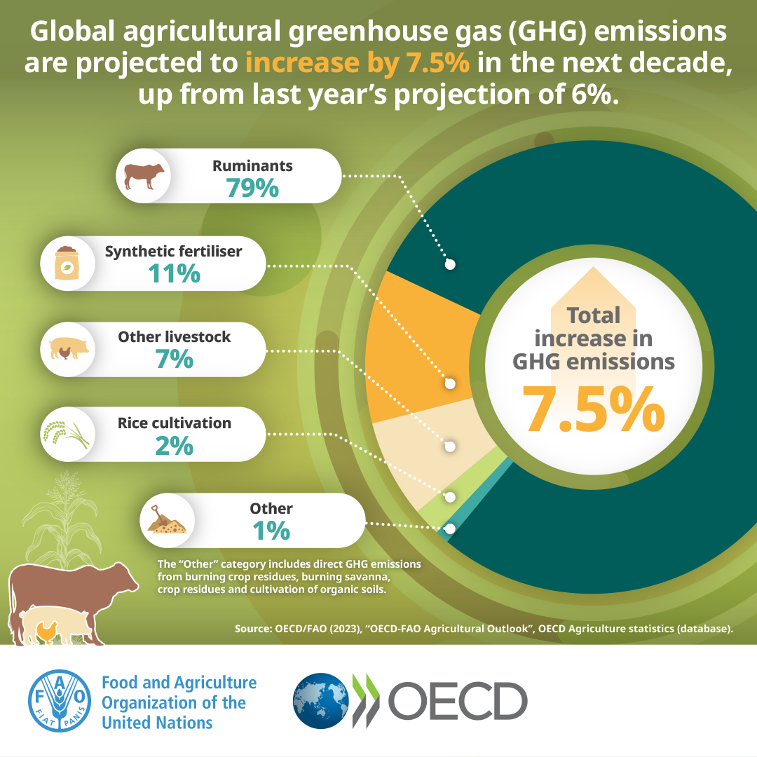 未來十年全球農業和糧食產量增長預計將放緩