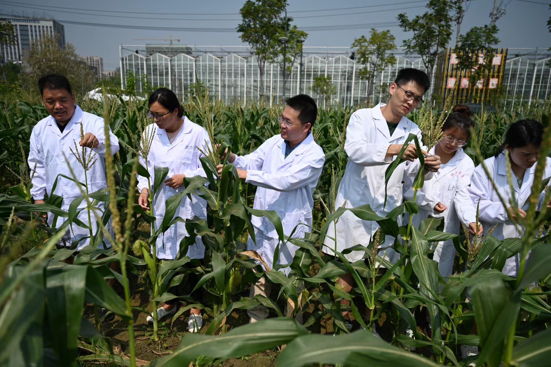 農業科技能否迎來投資風口？