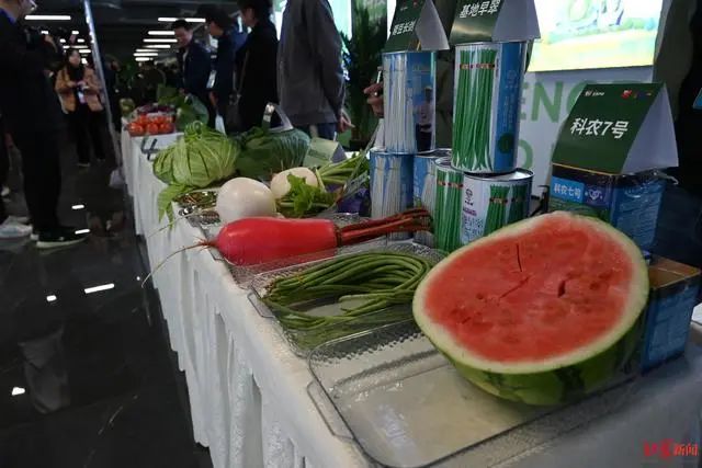 3.36億畝近8億噸！《2023年中國蔬菜產(chǎn)業(yè)發(fā)展報告》發(fā)布