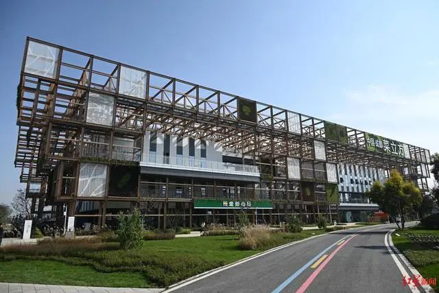 3.36億畝近8億噸！《2023年中國蔬菜產(chǎn)業(yè)發(fā)展報告》發(fā)布