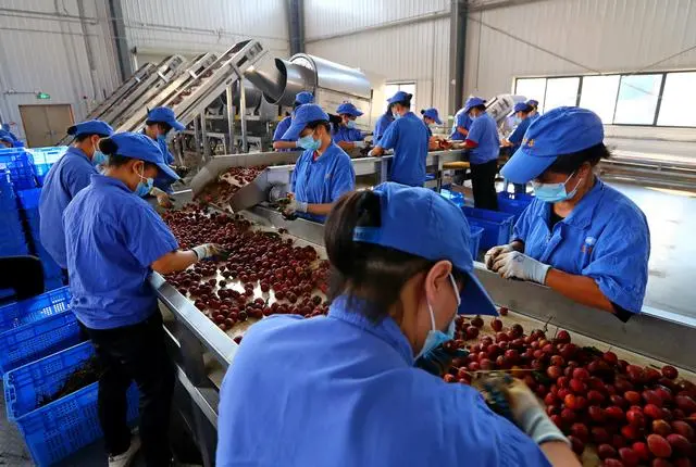 推進(jìn)鄉(xiāng)村全面振興是“三農(nóng)”工作總抓手