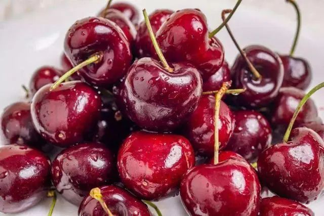 世界農(nóng)業(yè) | “中國市場為智利車厘子產(chǎn)業(yè)注入重要信心”