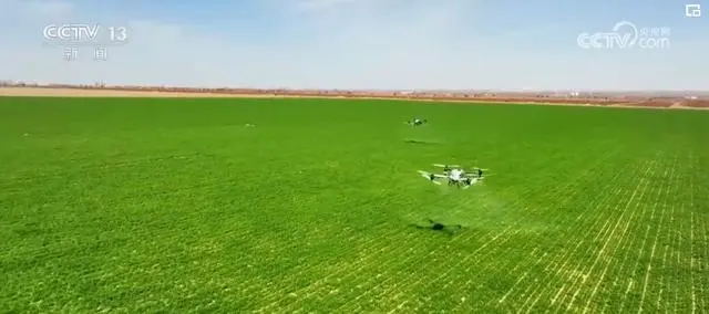 央視網(wǎng)：一季度我國農(nóng)業(yè)農(nóng)村經(jīng)濟(jì)保持良好發(fā)展勢頭